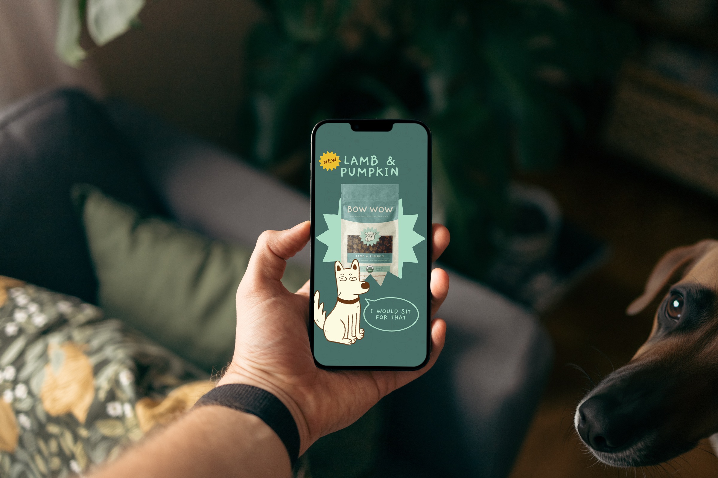 Bow Wow Lamb & Pumpkin Instagram story on a phone, with a dog looking on