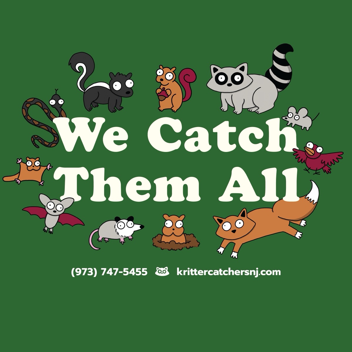We Catch Them All flyer